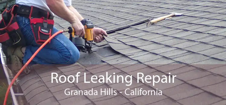 Roof Leaking Repair Granada Hills - California