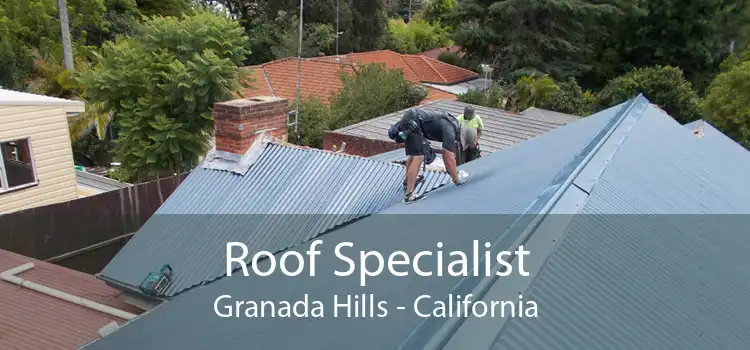 Roof Specialist Granada Hills - California